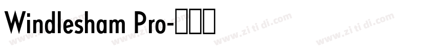 Windlesham Pro字体转换